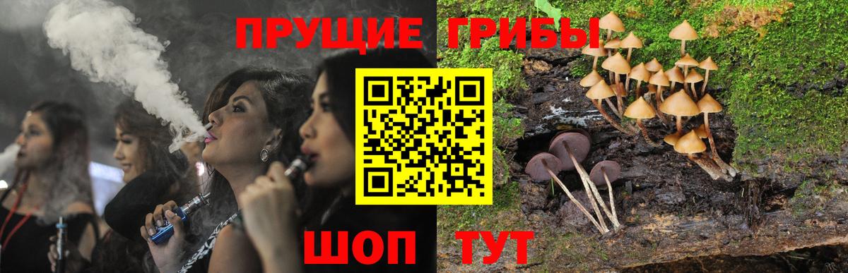 Псилоцибиновые грибы ЛСД  Вход с VPN  Гусев 