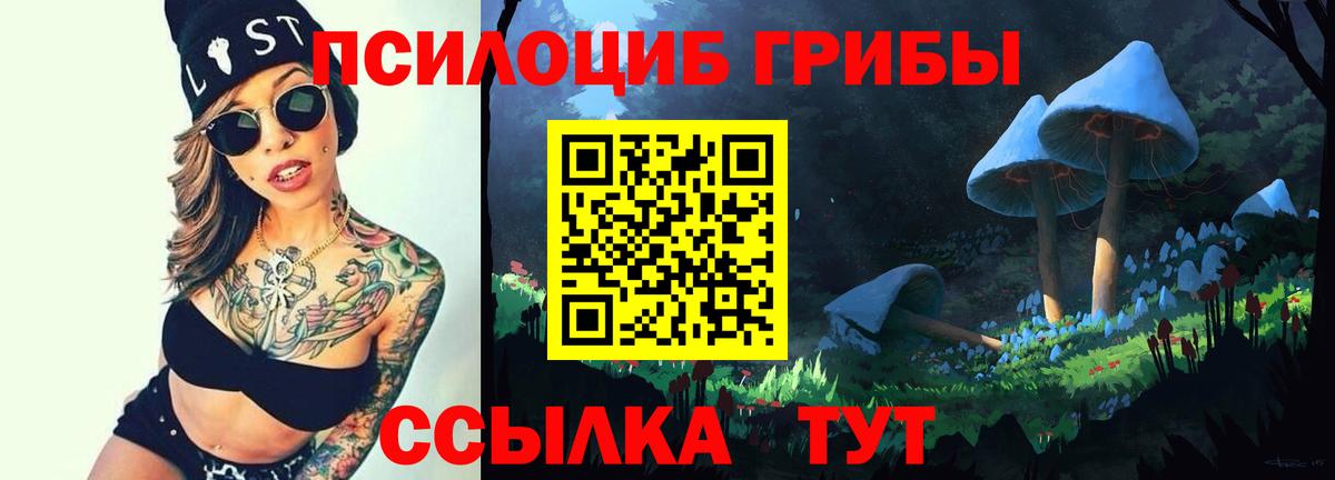Галлюциногенные грибы Magic Shrooms Гусев