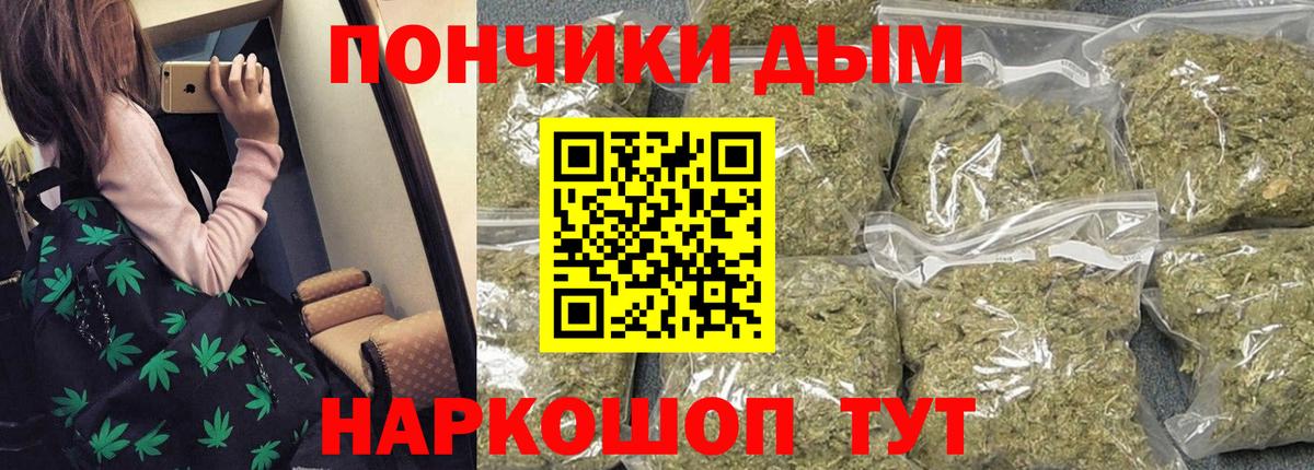 Шишки марихуана конопля  Вход с VPN  Гусев  Шишки марихуана план  Марихуана ГИДРОПОН 